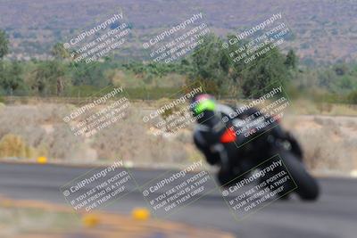 media/Oct-01-2023-SoCal Trackdays (Sun) [[4c570cc352]]/Turn 14 Backside (1120am)/